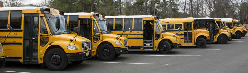 School Buses 