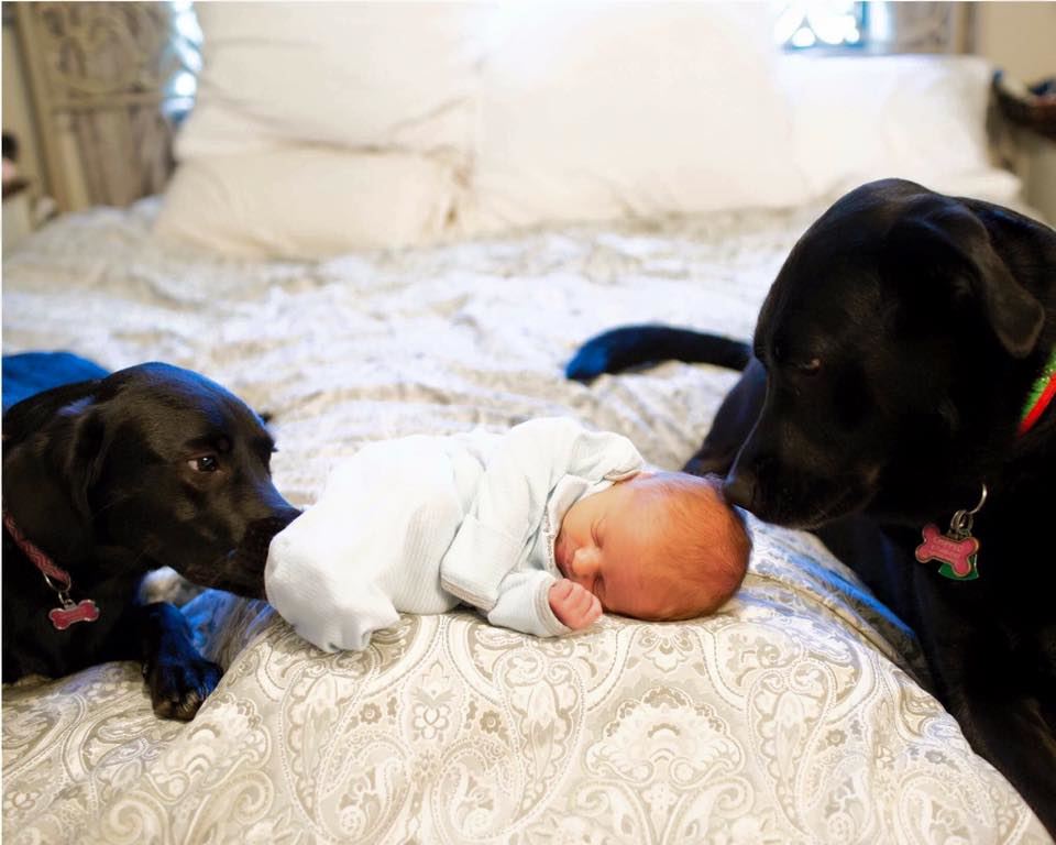Eli, Abby and Scout Eli, Abby and Scout