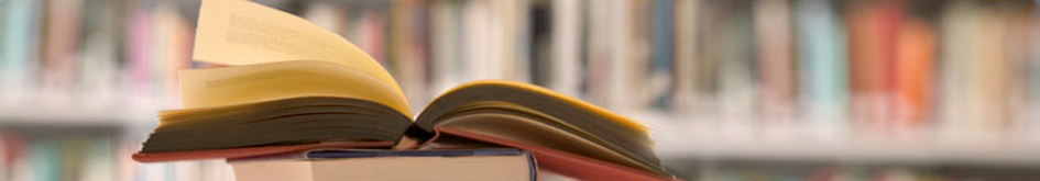 Glossary of Terms header 